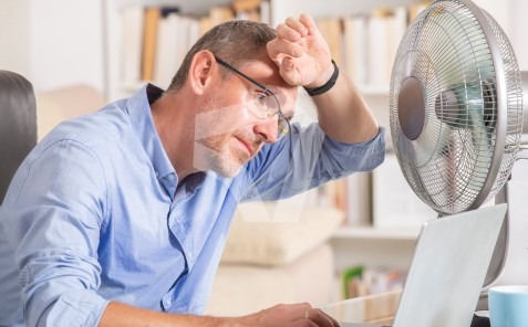 Ola de calor España empresas