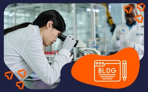 highly qualified professional visa Spain